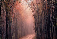 库里大战裁判！3次明显犯规不吹还半场32分，就要带队第五干詹皇.