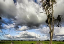 KAIYUN：图片报：拜仁已与沃尔特马德团队接触，球员合同中无解约条款.