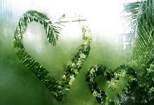 KAIYUN：[英超]火力全开 阿森纳大胜切尔西.