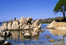 KAIYUN：早报：宁愿天堂没有足球，也不希望你就这样前往天堂.